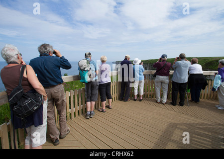 Gli amanti del birdwatching sulla visualizzazione di piattaforme a Bempton Cliffs, Yorkshire. Foto Stock