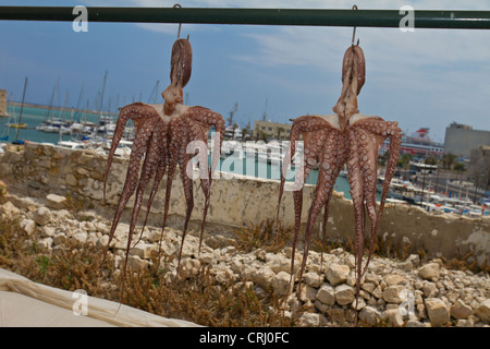 Due polpi appesi al filo essiccazione su sun Foto Stock