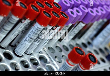 Campioni di sangue donato vacutainer in tubi di prova con il rosso e viola tops. Foto Stock