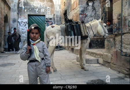 La città vecchia di Gerusalemme Foto Stock