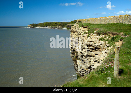 Cliff scena, St Donats, Llantwit Major, Glamorgan Heritage Costa, Vale of Glamorgan, Galles del Sud. Foto Stock