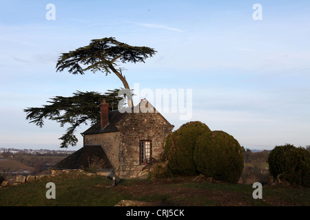 Si tratta di una foto del quartiere del castello medievale o fortezza di Domfront in Normandia in Francia. È in rovine distrutte Foto Stock