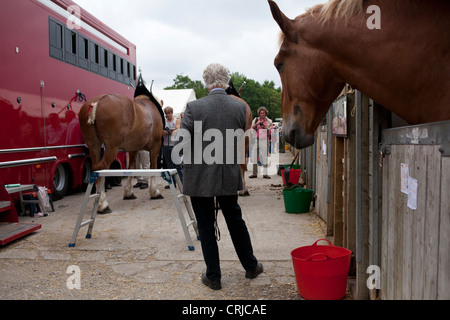 Shire cavalli sono preparate per mostrare al bagno e West spettacolo agricolo a Shepton Mallet. Foto Stock