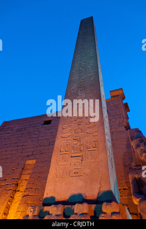 Obelisco del tempio di Luxor in Egitto. Medio Oriente. Foto Stock