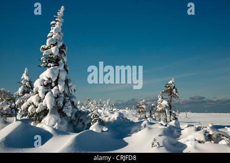 America del nord, Canada, Nova Scotia, Cape Breton, Cabot Trail in inverno Foto Stock