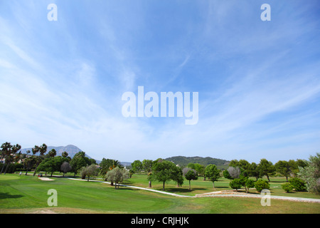 Erba verde su un campo da golf Foto Stock