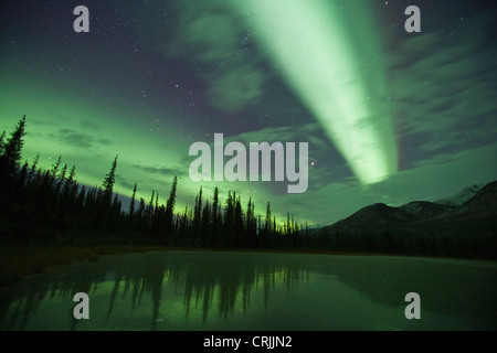 Aurora boreale riempire il cielo del nord al di sopra del Brooks Range e si riflette in una tundra frozen pond alle 23.30 Foto Stock