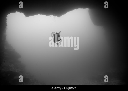 Subacqueo nuotando nel Blu fori tuffo sito fuori le isole di Palau in Micronesia. Foto Stock