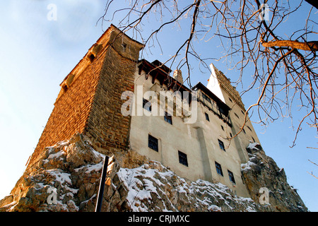 Castello di Bran, Romania, Transsylvania, Brasov Foto Stock