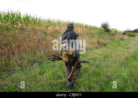 Pigeon hunter sul suo modo di nascondere in un campo di mais, Germania Foto Stock