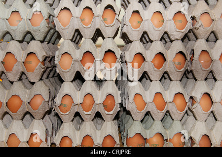 Impilate le caselle delle uova sul mercato, France, Languedoc-Roussillon, Saint Gilles Foto Stock