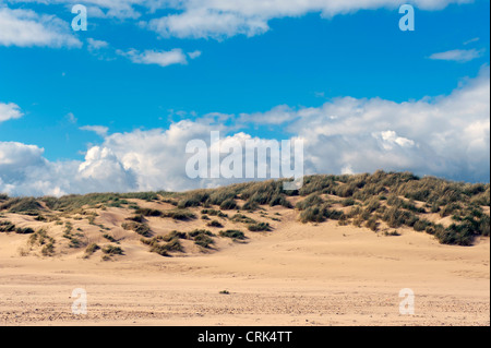 Le dune di sabbia a Camber Sands Beach, campanatura, segala, East Sussex, Regno Unito Foto Stock