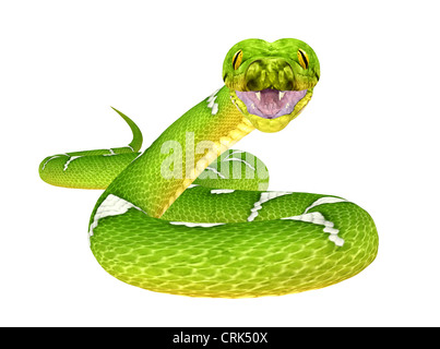 Illustrazione di un albero verde Python (specie di serpente) isolato su sfondo bianco Foto Stock