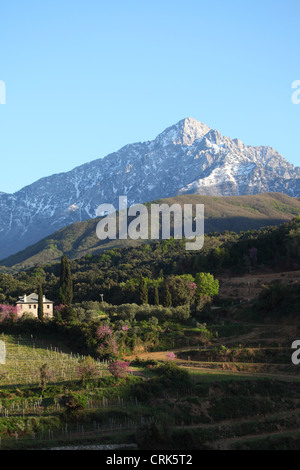 Farmland sotto le pendici del Monte Athos in Grecia. Foto Stock