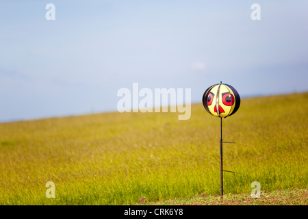 La filatura bird scarer in pole Foto Stock