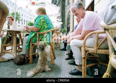 Una donna del cane di alimentazione che rende i maschi a Praga Foto Stock