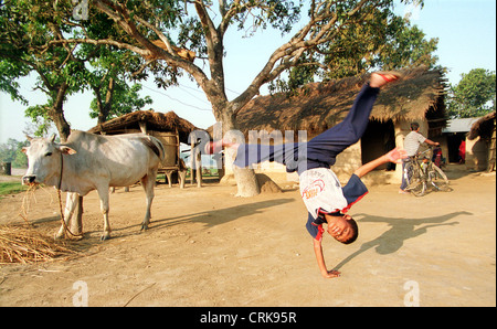 Ragazzo ruota beats accanto vacca sacra in Nepal Foto Stock