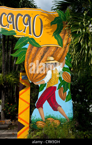 Cabosse cacao cibo caraibico francese Guadalupa casa del cioccolato Foto Stock