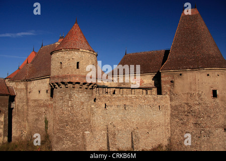 Castello Hunyad, Hunedoara, Transilvania, Romania Foto Stock