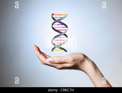 Mano che tiene il ceppo di DNA Foto Stock