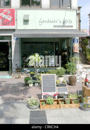 Negozio di fiori a Seul, in Corea del Sud. Foto Stock