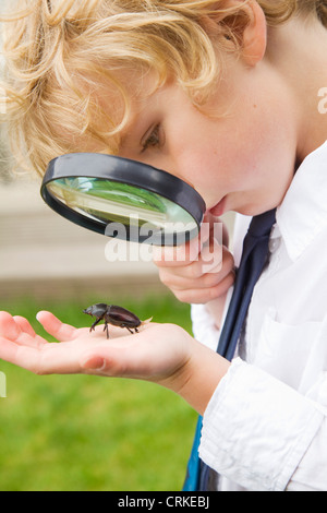 Ragazzo esaminando bug con lente di ingrandimento Foto Stock