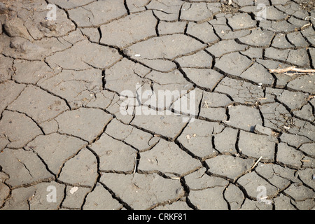 Asciugare incrinato massa - gli effetti della siccità. Foto Stock