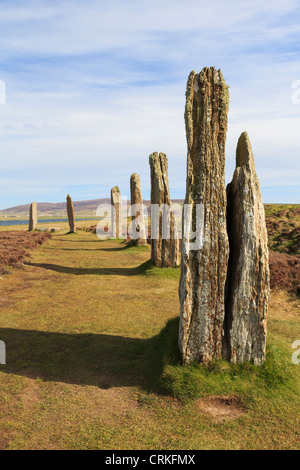 Anello di Brodgar henge neolitica e il cerchio di pietra di pietre permanente è più grande nelle Orcadi. Stenness Isole Orcadi Scozia UK Gran Bretagna Foto Stock