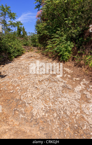 Avvio di un percorso di montagna che conduce attraverso piantagioni Foto Stock