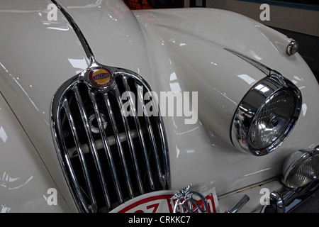 Jaguar XK 150 il radiatore e il faro. Auto sul display del Lakeland Motor Museum, Cumbria Foto Stock