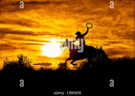 Cowboy a cavallo al tramonto, Sombreo Ranch, Colorado Foto Stock