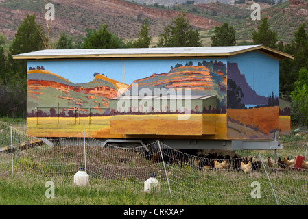 Pollo Mobile casa di sunrise fattorie, Loveland Colorado Foto Stock