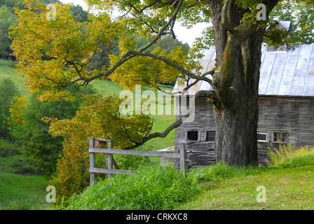 Il vecchio fienile in estate la Nuova Inghilterra, Tunbridge Vermont - USA Foto Stock