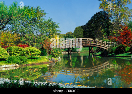 Curvi in legno ponte sul laghetto in giardino botanico del Missouri, St. Louis USA Foto Stock