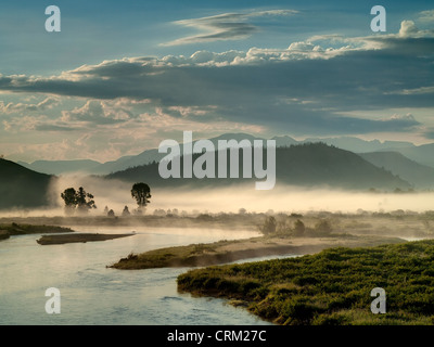 Nebbia di mattina. Snake River. Buffalo Valley. vicino Moran.Wyoming. Stati Uniti d'America Foto Stock