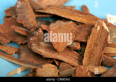 Corteccia di ciliegio infusi in un tè è usato per trattare il mal di gola, piaghe, ustioni, ferite. Foto Stock