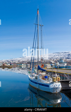 Yacht ormeggiati nel porto di Akureyri e il porto del nord est Islanda EU Europe Foto Stock