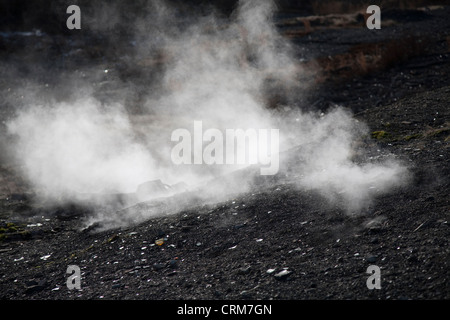 Fumo attraverso la massa a masterizzare città di Centralia, Pennsylvania centrale, STATI UNITI D'AMERICA Foto Stock