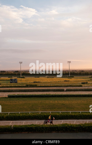 Allenamento mattutino per un cavallo solitario e un pilota su un ippodromo all'alba in Sicilia, Italia Foto Stock