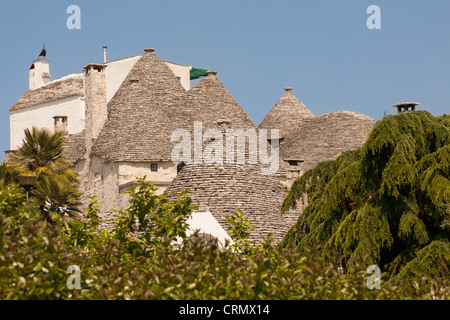 Trulli case, Rione Monti, Alberobello, provincia di Bari in Puglia, Italia Foto Stock