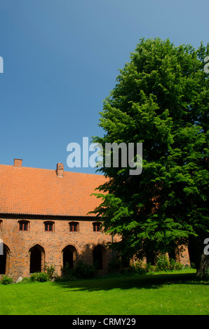 Danimarca, Helsingoer. La chiesa di Santa Maria e il monastero di Nostra Signora, c. 1430, il cortile. Foto Stock