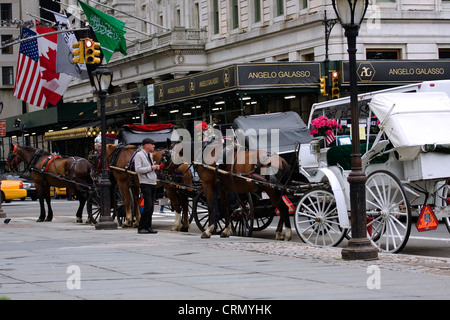 Carrozze trainate da cavalli schierate al Grand Army Plaza on 59th Street a New York City Foto Stock