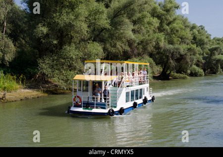 La Romania, regione Dobrudgea, Tulcea, il Delta del Danubio. Canale di Sulina rivestiti con argento gli alberi di salice. Riserva della Biosfera dall'UNESCO. Foto Stock