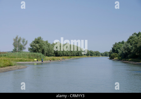 La Romania, regione Dobrudgea, Tulcea, il Delta del Danubio. Sfantu Gheorghe canale d'argento con gli alberi di salice. Riserva della Biosfera dall'UNESCO. Foto Stock