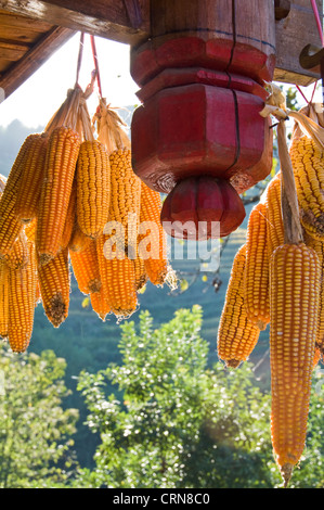 Le pannocchie pendenti da un tetto in Longji village - provincia di Guangxi - Cina Foto Stock