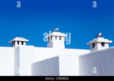 Mediterraneo baleari case bianche con seagull a camini Foto Stock