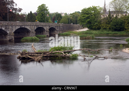 A Fermoy County Cork sud Irlanda Eire Europa Foto Stock