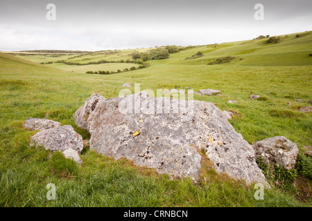 La Valle di pietre vicino Portesham nel Dorset. Foto Stock