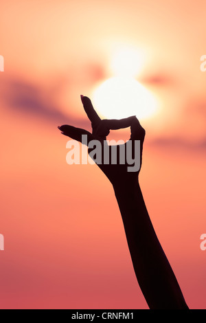 Dettaglio di una mano femmina formando un Mudra gesto utilizzato nella pratica dello yoga e meditazione Foto Stock