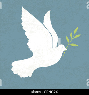 Colomba con olive branch Foto Stock